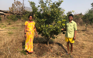 Report From the Field: A Farmer’s Story